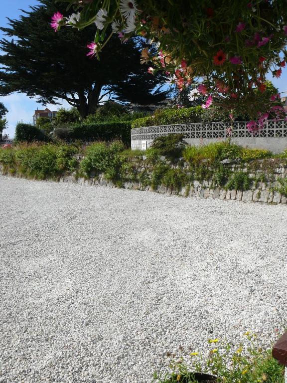 Cormorant House Bed and Breakfast New Quay Exteriör bild